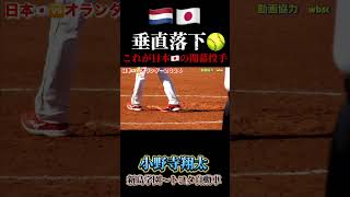 【2024年W杯ワールドカップ】日本vsオランダ 小野寺翔太投手 新島学園〜トヨタ自動車 ソフトボール 野球 softball 甲子園 好プレー集日本代表 可愛い 美女 トヨタ [upl. by Inatirb]