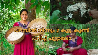 പറമ്പിൽ നിന്നും 2 കുട്ട കൂൺ പറിച്ച് ചുട്ടാലോ mushroom cooking Saranyas beauty Vlogs [upl. by Corson671]