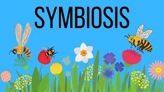 What is symbiosis in Biology Mutualism  Commensalism  Parasitism [upl. by Gilbertine]