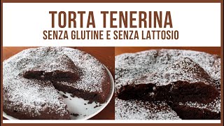 TORTA TENERINA AL CIOCCOLATO ricetta senza glutine e senza lattosio morbida e profumata [upl. by Asereht647]