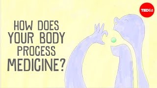 How does your body process medicine  Céline Valéry [upl. by Celestine389]