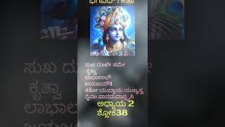 bhagavadgita sankhya yoga Kannada ಕನ್ನಡ [upl. by Anayk]