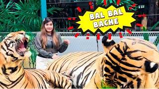 Bal bal bache 🥹😳 pjdivya vlog [upl. by Omidyar618]