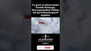 Co grozi za lekceważenie Narodu Polskiego Rzeczypospolitej Polskiej lub jej konstytucyjnych organów [upl. by Hadias]