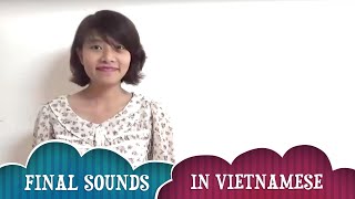 Vietnamese Pronunciation How to pronounce all final sounds in Vietnamese [upl. by Rovit]