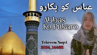 Abbas Ko Pukaro  Nohay 2024  Alam  Farhan Ali Waris  Mola Abbas Noha Tehreem Naqvi [upl. by Reddy]