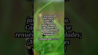 Lamentaciones 32223 miversiculobiblico versiculo biblia versiculodiario palabradeDios Dios [upl. by Blaise]