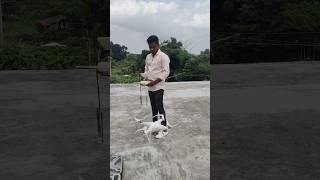 Drone ke sath masti😂😂 dronefootage dronestagram dronefly drones [upl. by Ellebasi]