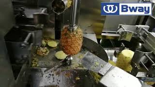 Automatical Pineapple peeling and coring machine pineapple peeler and corer machine [upl. by Arammat]