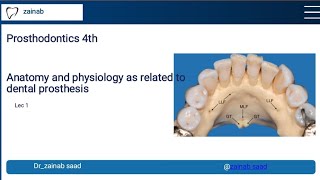 prosthodontics Lec 1 Anatomy and physiology as related to dental prosthesis المرحلة الرابعة [upl. by Julia]