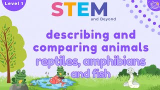 Describing and Comparing Animals Reptiles amphibians and fish  KS1 Year 1 STEM Summer Camp [upl. by Kisor405]