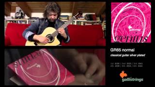 Nazzareno Zacconi plays Galli Strings GR65 [upl. by O'Brien]