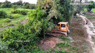 Amazing Heavy Old Heavy Bulldozer Working Breakdown Tree Making New Road With Small Dozer And Truck [upl. by Enram]