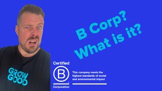 What is B Corp Certification [upl. by Asehr761]