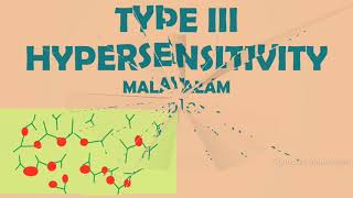 TYPE III HYPERSENSITIVITY REACTIONS  IMMUNE COMPLEX MEDIATED  MALAYALAM [upl. by Odnalro]