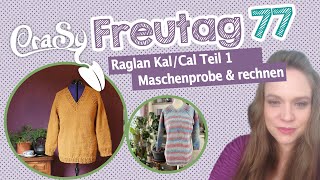 CraSy Freutag 77  Raglano KALCAL Teil 1  über Maschenporben und Rechnen [upl. by Aryn821]