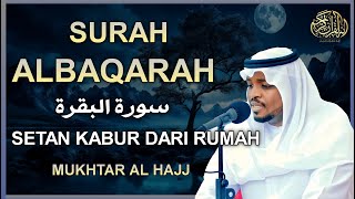 SURAH ALBAQARA  Setan kabur Dari Rumah  Penenang Hati dan Pikiran by Mukhtar Al Hajj [upl. by Trovillion]