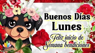 Buenos días Lunes 🌹 Feliz inicio de Semana 🌹Mil Bendiciones para ti Mira el video más lindo de lunes [upl. by Hamas]