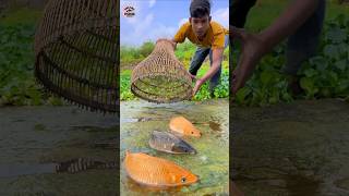 Unbelievable Polo Challenge Fishing Video  shorts shortsfeed funny polo fishing unique [upl. by Alain977]