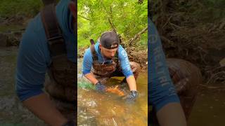 Finding Excellent Placer Gold Deposit While Gold Prospecting Gold Dredging with X4PROSPECTING [upl. by Katushka]