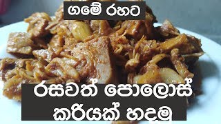 ගමේ රහට රසවත් පොලොස් ව්‍යංජනයක් හදමු  Sri Lankan Polos Curry [upl. by Gertrude455]