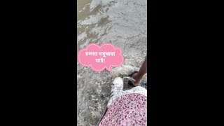 ▶চলনা বসুন্ধরা যাই Cholona Bashundhara jai Shorts [upl. by Hepsiba836]