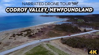 🌲🚁 Codroy Valley Newfoundland  4K Drone Serenity 🏞️✨ [upl. by Aizan340]