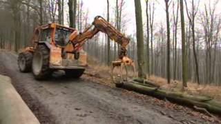 Markierte Bäume  Sachgeschichten  Die Sendung mit der Maus  WDR Fernsehen [upl. by Nnylireg]