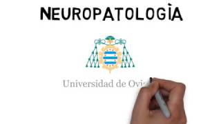 NEUROPATOLOGIA [upl. by Eziechiele30]