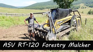 Intro to ASV RT 120 Forestry Skid Steer [upl. by Ardnassak367]