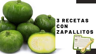 3 RECETAS MUY FACILES CON ZAPALLITOS  FREZZAMOS ZAPALLITOS CRUDOS [upl. by Adlesirk538]