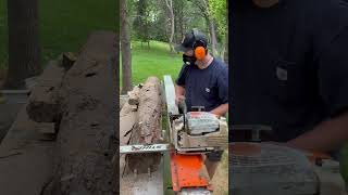 Spalted Maple Milling Perfect Wood Slabs for DIY Projects Woodworking SpaltedMaple [upl. by Lombardo]