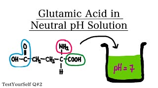 Glutamic Acid in Neutral pH 7  TestYourSelf Answer Question 2 [upl. by Nesyaj492]