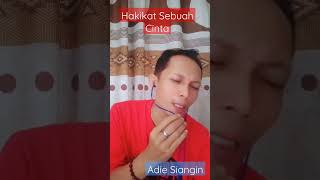 Hakikat Sebuah CInta saleem iklim cover Adie siangin [upl. by Navak285]