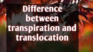 Difference between transpiration and translocation [upl. by Hardunn]