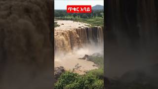 ጥቁር አባይ blue nile river amhara ethiopia east africafypシ゚viral [upl. by Addiel]