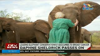 Leading elephant conservationist Daphne Sheldrick succumbs to breast cancer [upl. by Attenal]