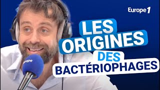 Les origines de la découverte des bactériophages [upl. by Mcnair150]