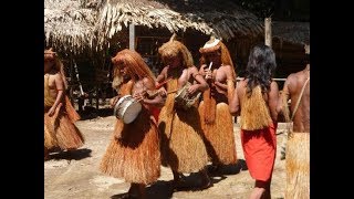 Música Selvática quotLos Yaguasquot  Los Pumas de Tingo María [upl. by Gausman]