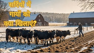 ऊर्जा प्रदान करने के लिए क्या खिलाएं  ऊर्जासघन चारा टिप्स [upl. by Ettelrats]