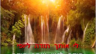 תודה  ישי לוי קריוקי פלייבק instrumental [upl. by Fotzsyzrk]