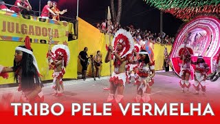 Tribo Indigena Pele Vermelha Desfile oficial Carnaval Tradição de João Pessoa TRIBOPELEVERMELHA [upl. by Lucias]