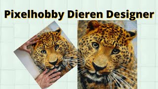 Pixelhobby Patronen  Pixelhobby Designer [upl. by Aneeram]