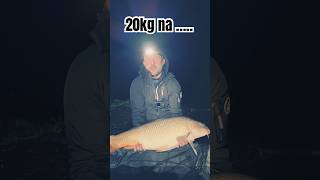 Karpie na Kulki  fishing karp wędkarstwo wedkowanie karpiowanie fishinglife carpangler [upl. by Ybab640]