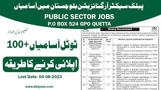 Public Sector Organization Balochistan Jobs 2023 [upl. by Azilem874]