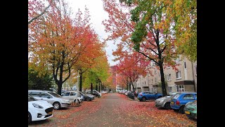 Mooie herfstkleuren in Osdorp  Amsterdam NieuwWest [upl. by Drucill]