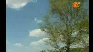 Um Paatham  Tamil Christian Song [upl. by Meelas]