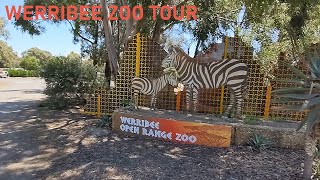 Werribee Open Range Zoo Tour  Victoria Australia [upl. by Anned892]