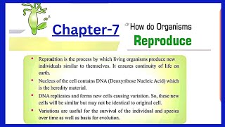 How do organisms reproduce Class 10 Biology support materialbased on latest syllabus 202324 [upl. by Jennings334]