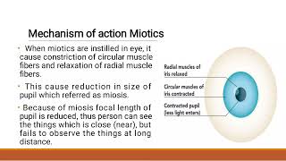 Drug acting on eye Miotics and Mydriatics [upl. by Santos]